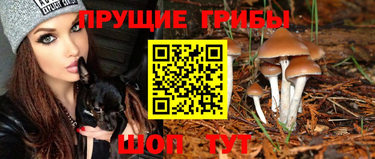 Псилоцибиновые грибы прущие грибы Владимир